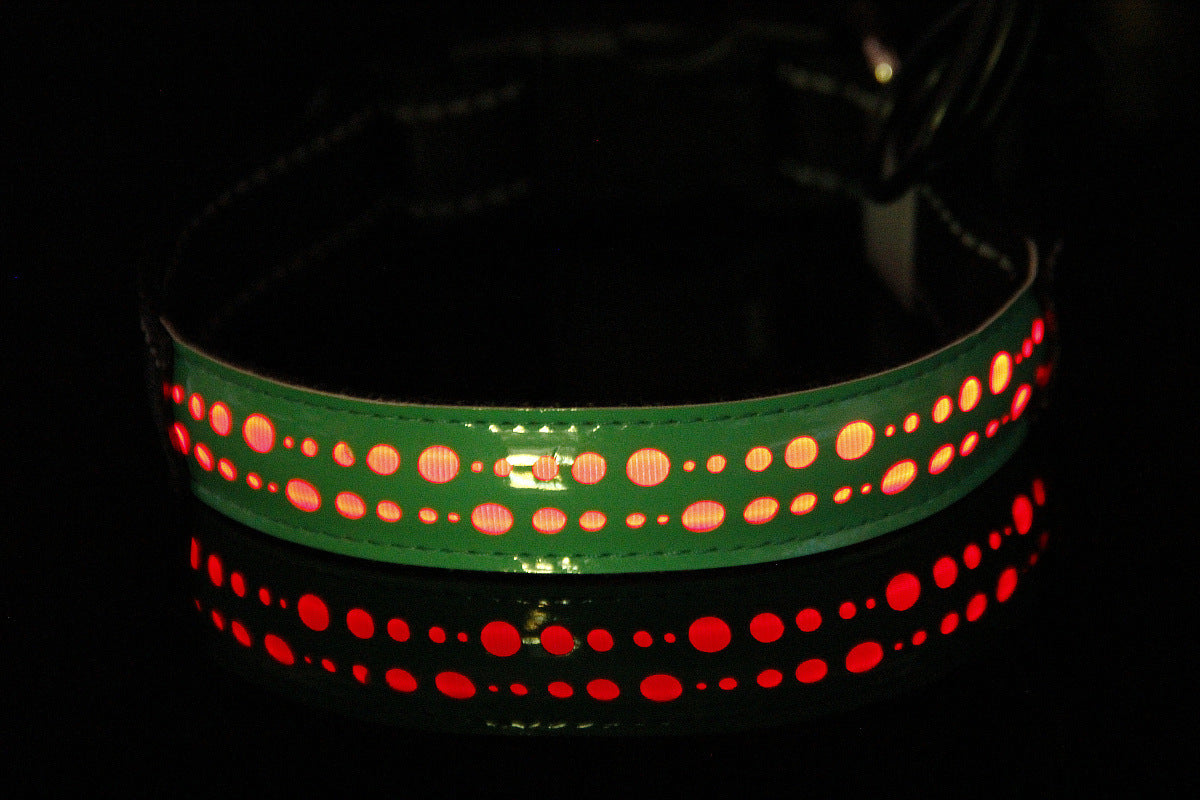 Pawsy - LED - Collier pour chien et chat avec USB