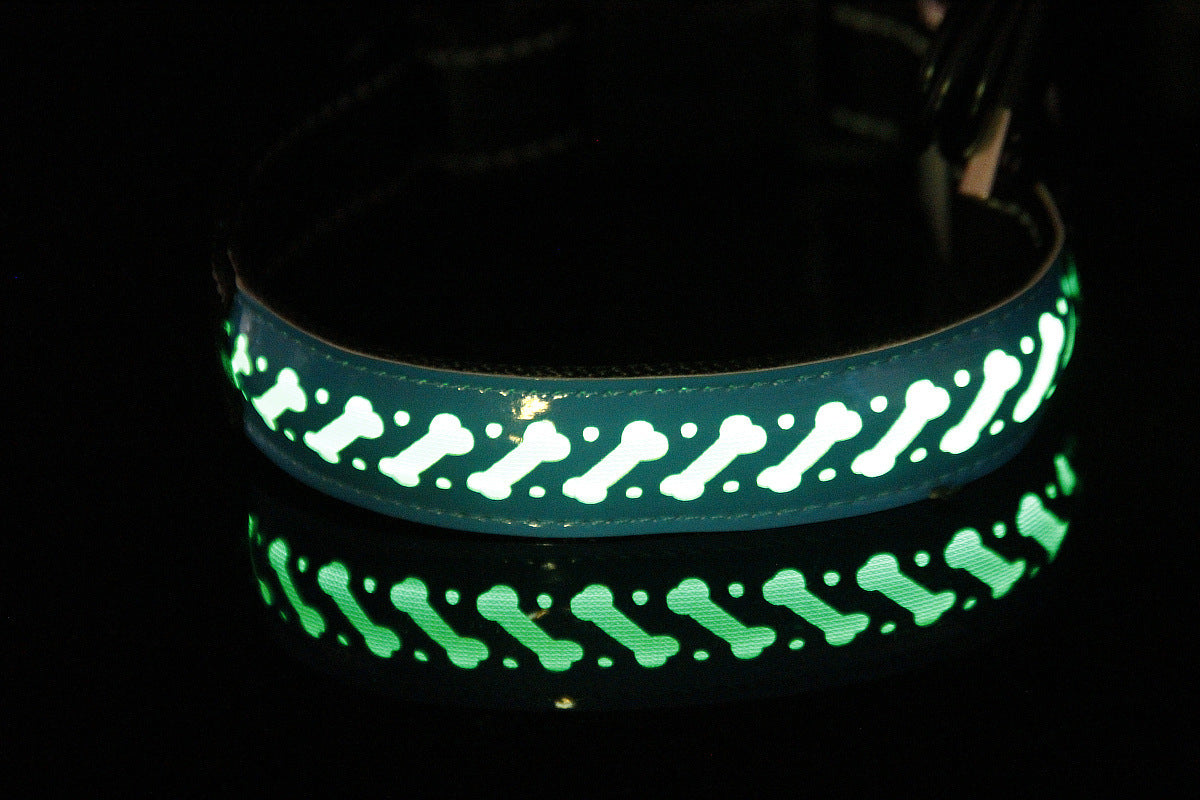 Pawsy - LED - Collier pour chien et chat avec USB