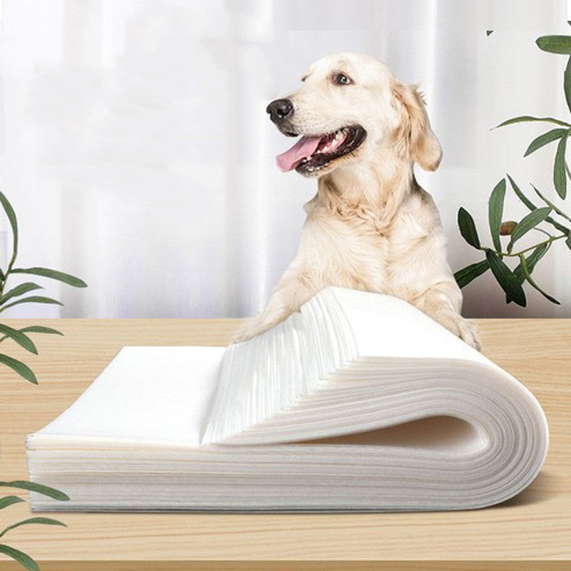 Pawsy - Puppy Toilet Pads