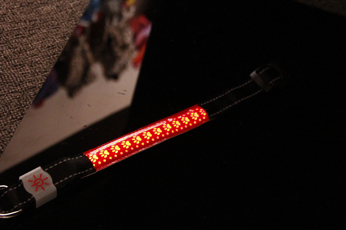 Pawsy - LED - Collier pour chien et chat avec USB