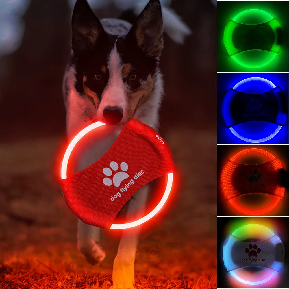 Leuchtender Hunde-Frisbee – Wiederaufladbar