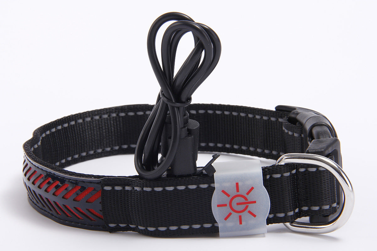 Pawsy - LED - Hunde- und Katzenhalsband mit USB