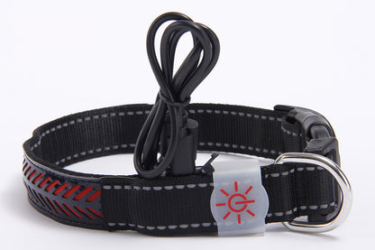LED - Hunde- und Katzenhalsband mit USB