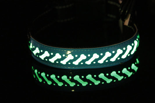 Pawsy - LED - Hunde- und Katzenhalsband mit USB