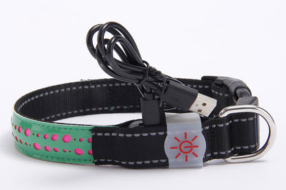 LED - Hunde- und Katzenhalsband mit USB