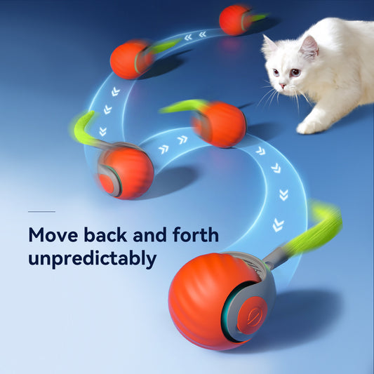 Pawsy - Interaktiver Katzenspielball – USB-C Wiederaufladbar