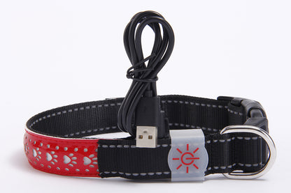 LED - Hunde- und Katzenhalsband mit USB
