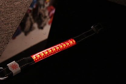LED - Hunde- und Katzenhalsband mit USB